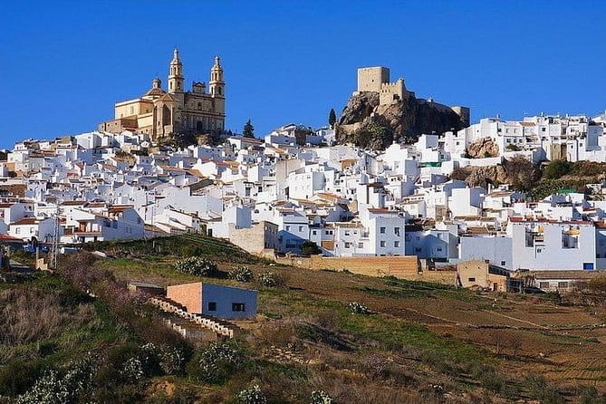 Private Guided Day Trip to the White Villages and Ronda from Seville - FAQ