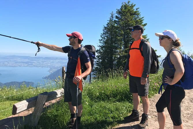 Private Guided Hike on Mt. Rigi with Farm Visit and BBQ - Who Will Love This Tour?
