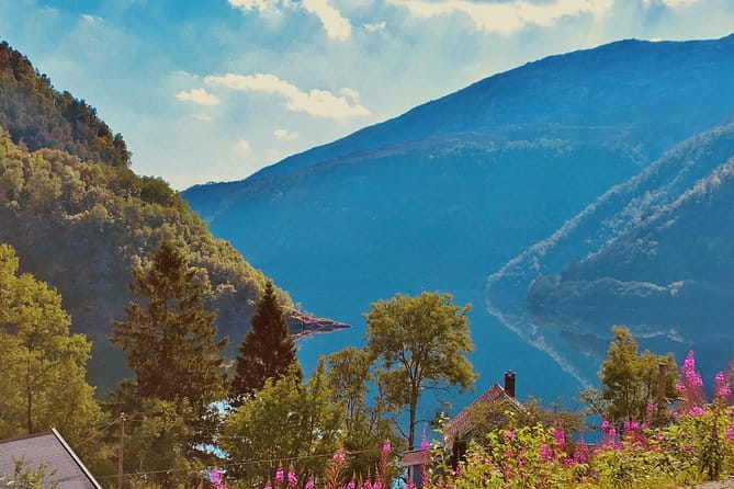 PRIVATE GUIDED TOUR: Highlights of Norway  Trip to the Sognefjord  SUMMER - Who This Tour Is Best For