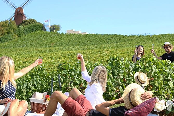 Private Guided Tour in Champagne from Paris with Moet&Chandon visit. - Possible Consideration