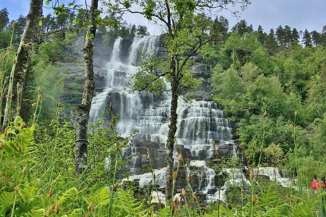 PRIVATE GUIDED TOUR: The Heart of Norway  Viking Special, 8-9 hours  SUMMER - The Waterfall at Tvindefossen: A Picture-Perfect Stop