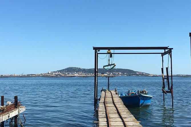 Private Half-Day Languedoc Wine and Oyster Tour from Sète - Who Should Consider This Tour?