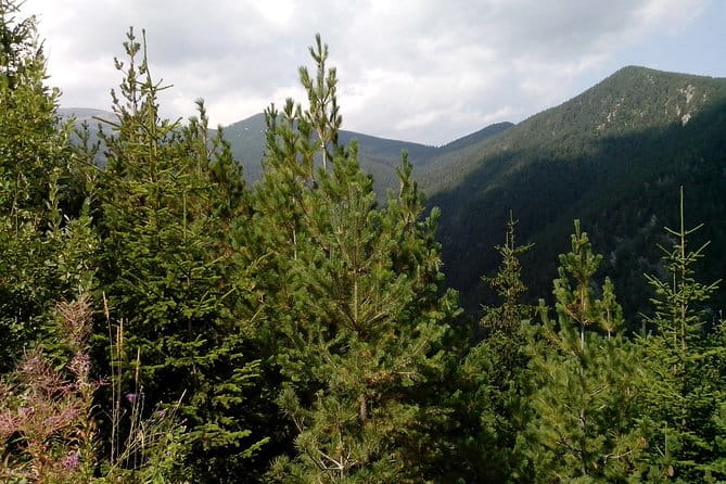 Private Horse Riding in Teteven Balkan from Sofia - The Heart of the Experience: What You Can Expect