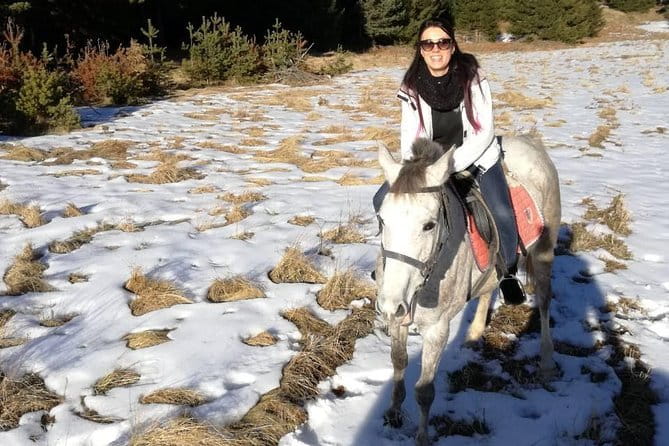 Private Horseback Riding the Rila Range - The Ride: Trails, Terrain, and Experiences