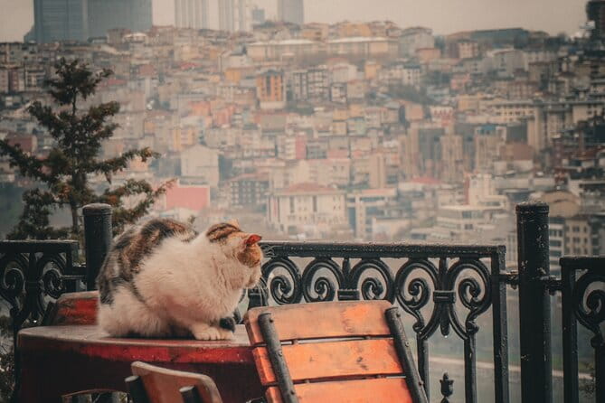 Private Istanbul Highlights Tour: 1, 2, or 3-Day Options - FAQ