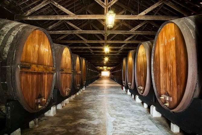 Private Lisbon wine tasting tour in the Setubal region - Journey into the Heart of the Setúbal Wine Region