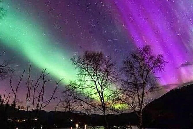 Private Northern Lights Tour From Reykjavik - The Basics: What to Expect from the Private Northern Lights Tour