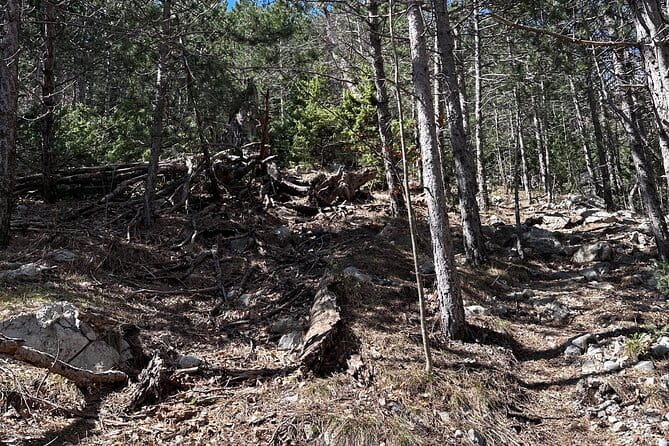 Private Paklenica Hiking Tour from Zadar up to 8 people - The Value of a Guided Private Tour