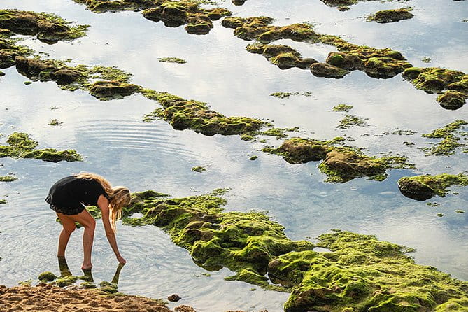 Private Photographic Walk in Biarritz - Frequently Asked Questions