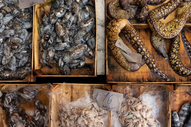 Private Photoshoot @Palermo - Final thoughts