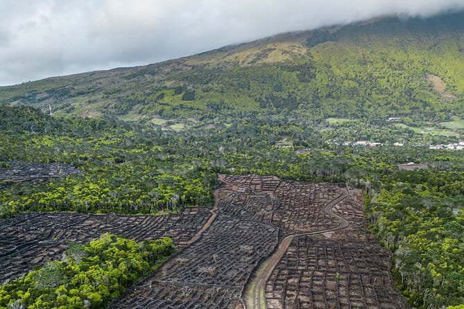 Private Pico Wine Tour (Half Day) - FAQ