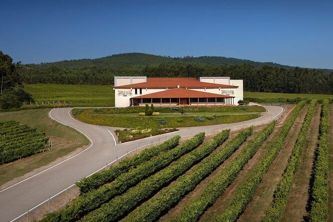 Private Porto Santiago Compostela Tour with Albariño Wine - Key Points / Takeaways