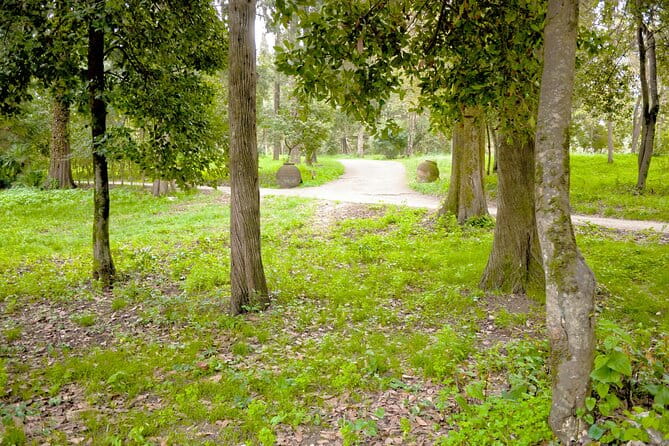 Private Shore Excursion Visit in Corfu with private driver. - Final Thoughts: Why Choose This Experience?