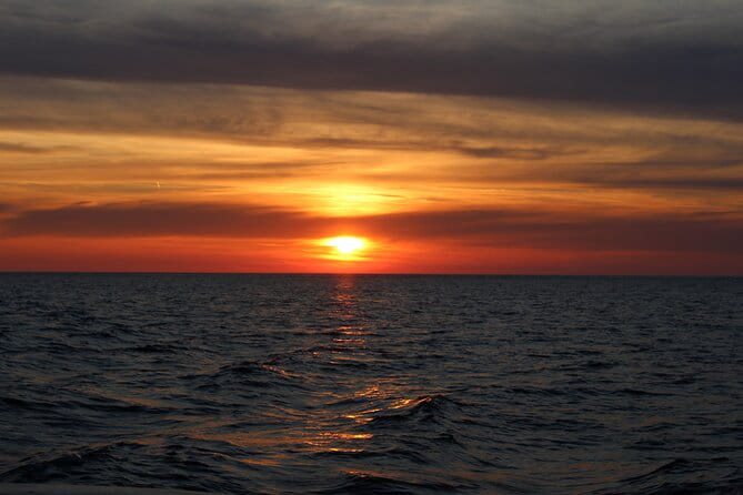 Private Sunset Dolphin Excursion with Dinner and Animation - Who Will Love This Experience?