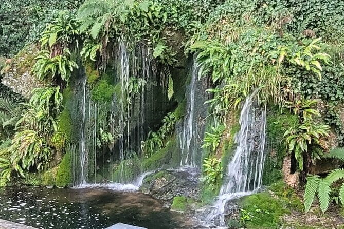 Private Taxi Tour of Blarney Castle ,Cork ,Kinsale 5 Star Rated - Starting off: The Charm of Blarney Castle & Gardens