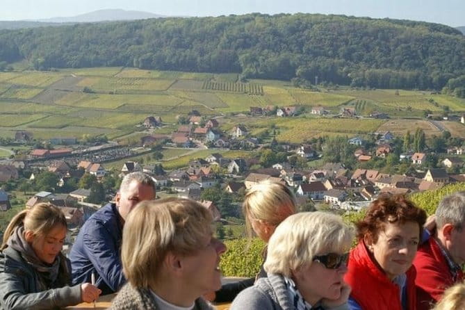 Private Tour: Alsace Villages and Wine Day Trip from Colmar - Lunch or More Exploring in Riquewihr