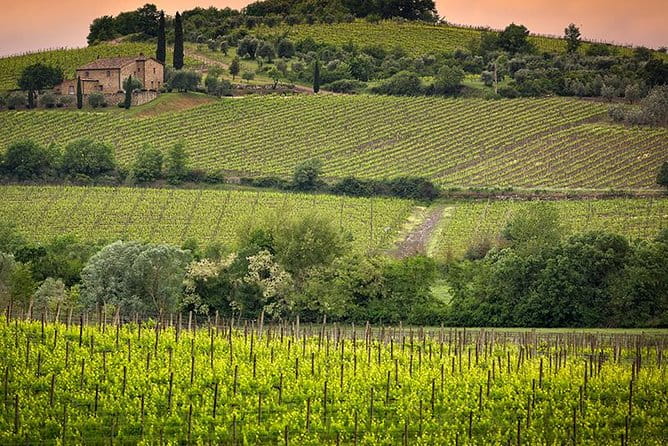 Private tour Brunello di Montalcino and Nobile di Montepulciano wine experience in Tuscany - Who Would Enjoy This Tour Most?