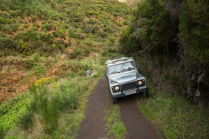 Private Tour: Combo Expedition (Jeep Tour & Levada Walk) - What’s Not Included and What to Consider