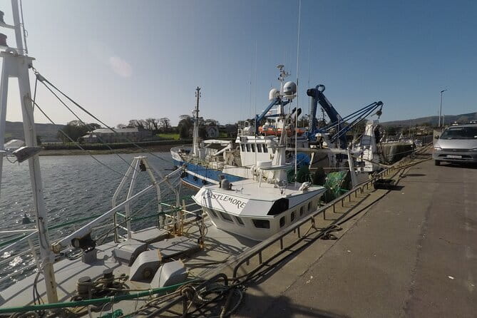 Private Tour: Ring of Beara from Kenmare. - Discovering Local Culture at Molly Gallivan’s Cottage