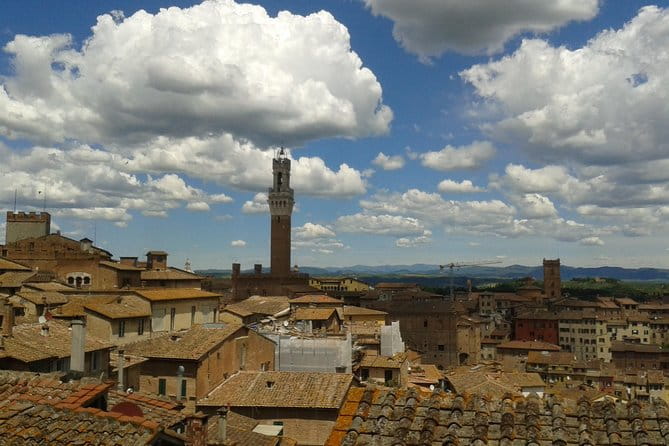 Private Tour: Siena Walking Tour - Final Thoughts
