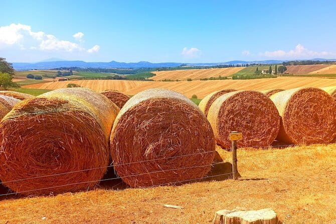 PRIVATE TOUR "Sweet Hills of Chianti and San Gimignano" with Lunch & 2 Tastings - Who Would Love This Tour?