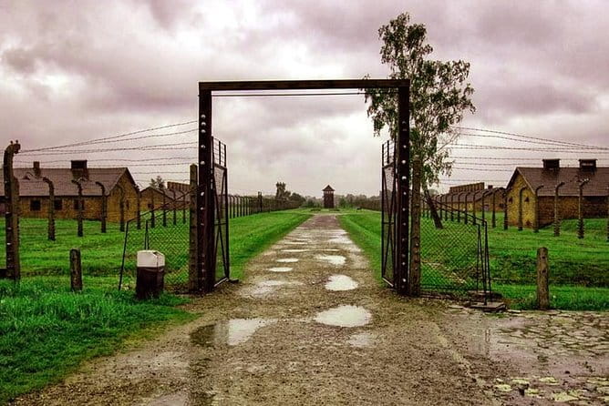 Private Tour to Auschwitz & Birkenau from Katowice - Who Will Appreciate This Experience Most?