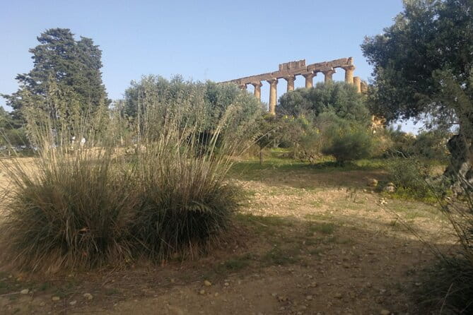 Private Tour to Segesta, Erice and Wine Tasting in Marsala - Who Would Benefit Most From This Tour?