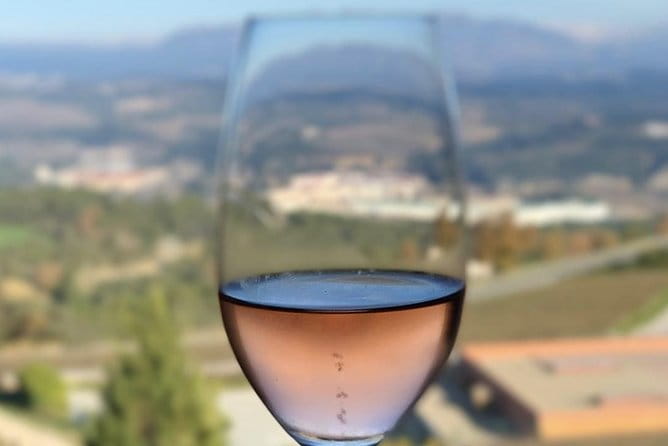 Private Tour: Top Three Organic Wineries & Local Lunch Included - The Sum Up: Who Will Love This Tour?