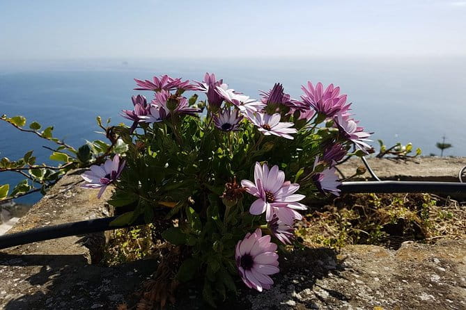 Private Transfer from Naples to Positano - FAQs