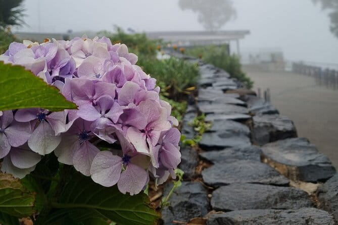 Private Tuk Tuk Tour in Nuns Valley - Why This Tour Offers Great Value