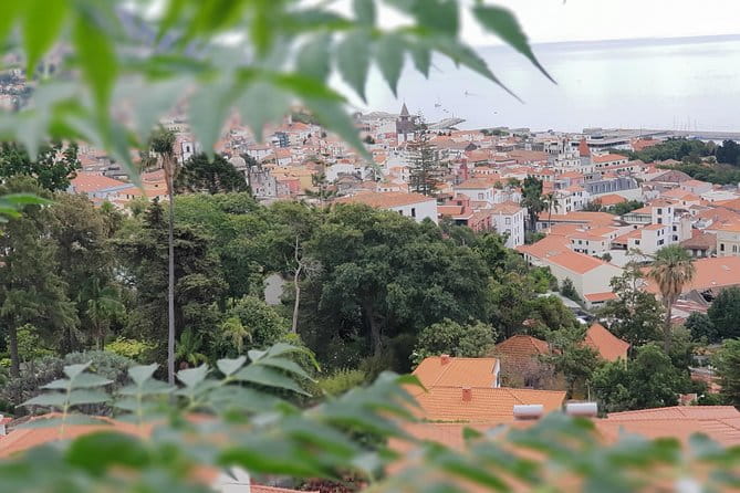 Private Tuk Tuk Tour to Old Town + Monte in Funchal - Final Thoughts