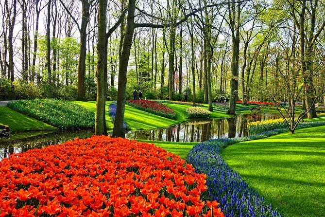 Private Tulip Fields, Windmills and Cheese Tour from Amsterdam - Who this tour suits best