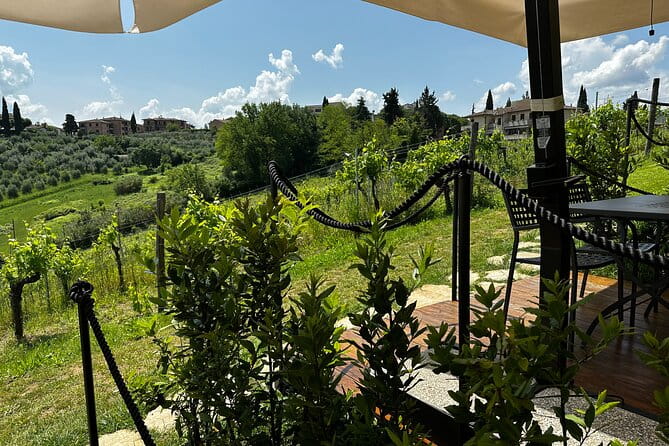 Private Tuscan Lunch with Wine & Evo oil tasting in the Vineyard - Tasting the Flavors of Tuscany