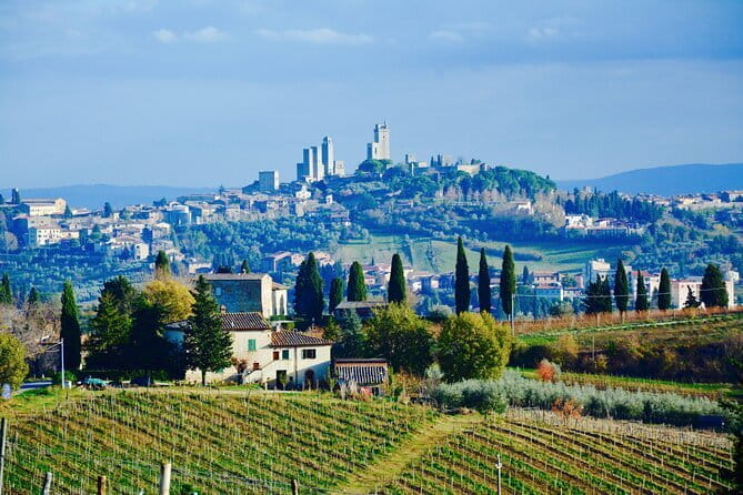 Private Tuscany Day Tour: San Gimignano and Chianti Wine Region from Florence - Who This Tour Is Perfect For