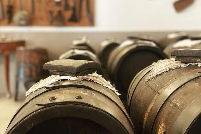 Private Visit to Acetaia with Tasting - Who Will Appreciate This Tour?