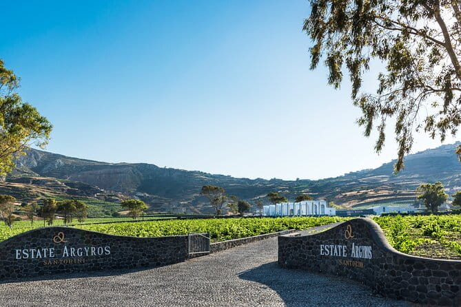 Private Wine Adventure Tour in the Most Distinct Wineries - Who Will Love This Tour?