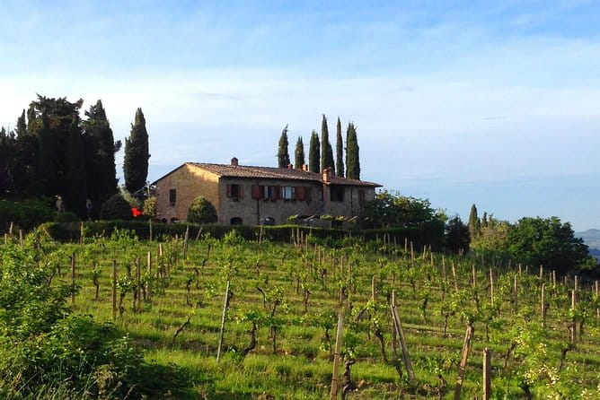 Private Wine & Evo Oil Tasting with Saffron Meal - Who Should Book This Experience?