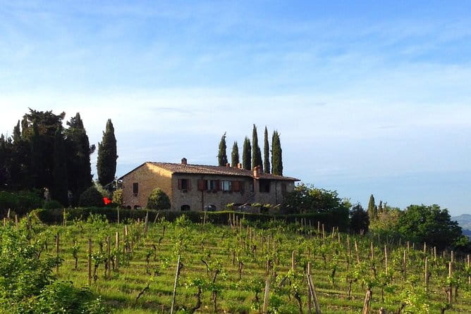 Private Wine & Evo oil tasting with Saffron Meal - The Sum Up: A Genuine Taste of Tuscany