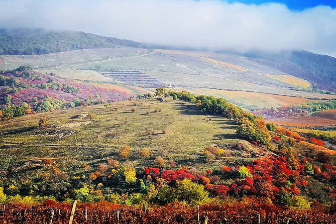 Private winetasting and sightseeing tour to Eger, home to Bull's Blood wine! - Architectural and Cultural Gems in Short Time