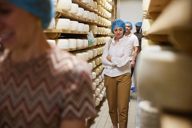 Prosecco Hills Wine and Cheese Gourmet Discovery by Yellowboot - Who Will Love This Tour?