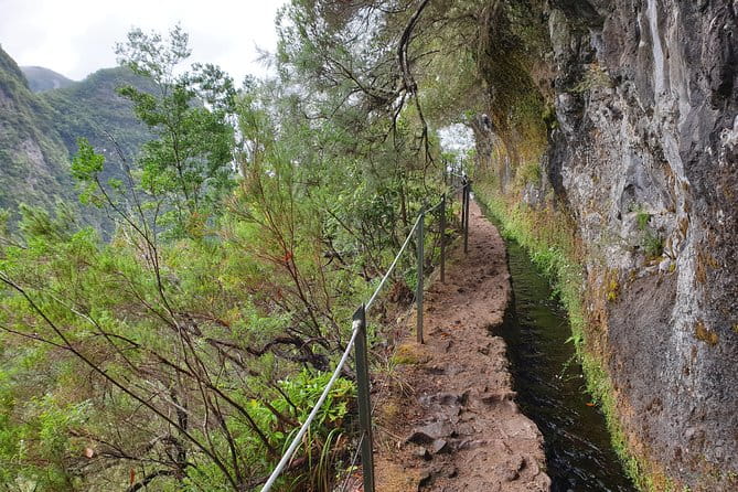 Queimadas-Caldeirão Verde - Final Thoughts: Is This Hike Right for You?