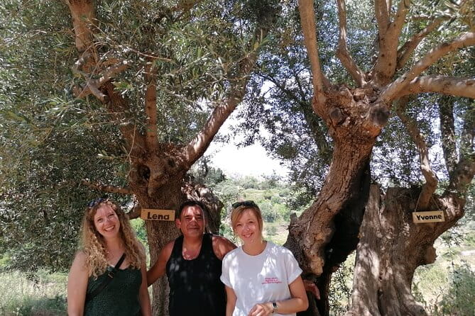 Rethymnon Olive Tree Sponsorship Protect and Plant Tour - FAQ