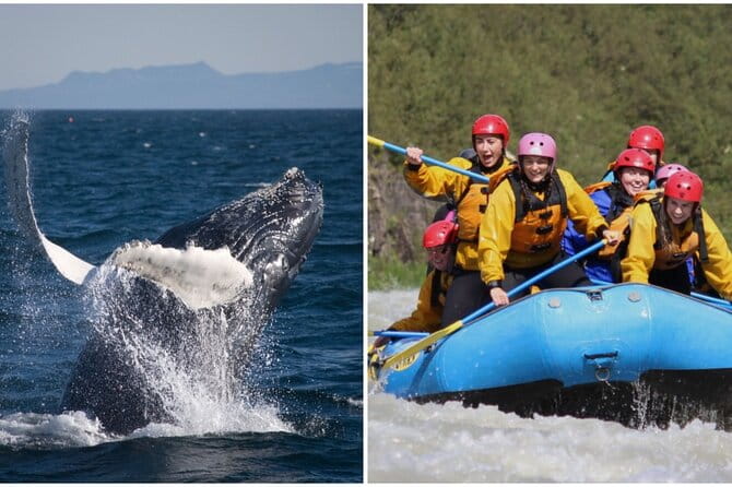 Reykjavik Whales & White Water Rafting Adventure - FAQ