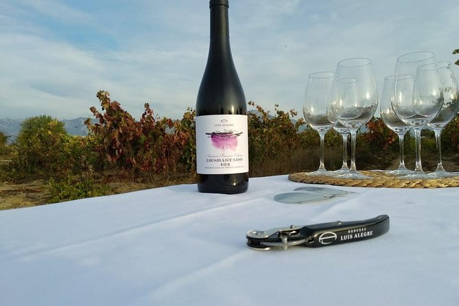 Rioja Wine Tour: Winery & Traditional Lunch From Bilbao - FAQs