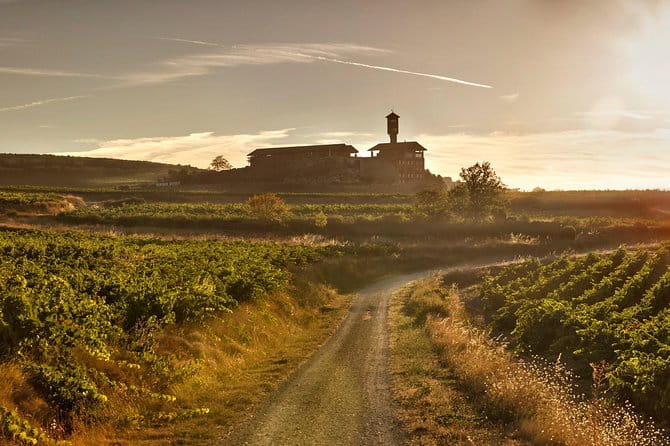 Rioja Wine Tour: Winery & Traditional Lunch From Vitoria - What Makes This Tour Special?