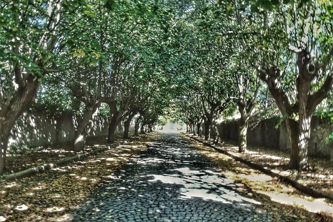 Rome: Frascati Vineyard Bike Tour with Train Tickets - A Closer Look at the Itinerary