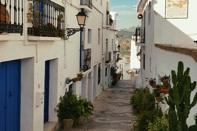Ronda and White Villages from Seville-Small Group-Private Van - Final thoughts
