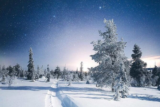 Rovaniemi: Riisitunturi Full-Day Wilderness Adventure & BBQ - The Cozy BBQ: A Warm Finish in the Wilderness