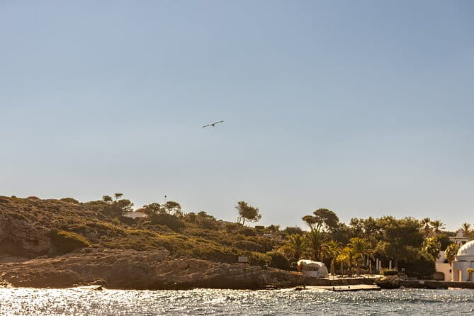 Sailing Private Cruises in Northwest Rhodos Coastline - Final Thoughts: Is It Worth It?