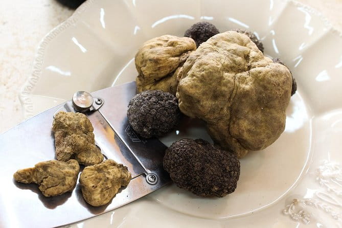 San Gimignano Truffle Hunt & Truffle Cooking Class - Why It Stands Out